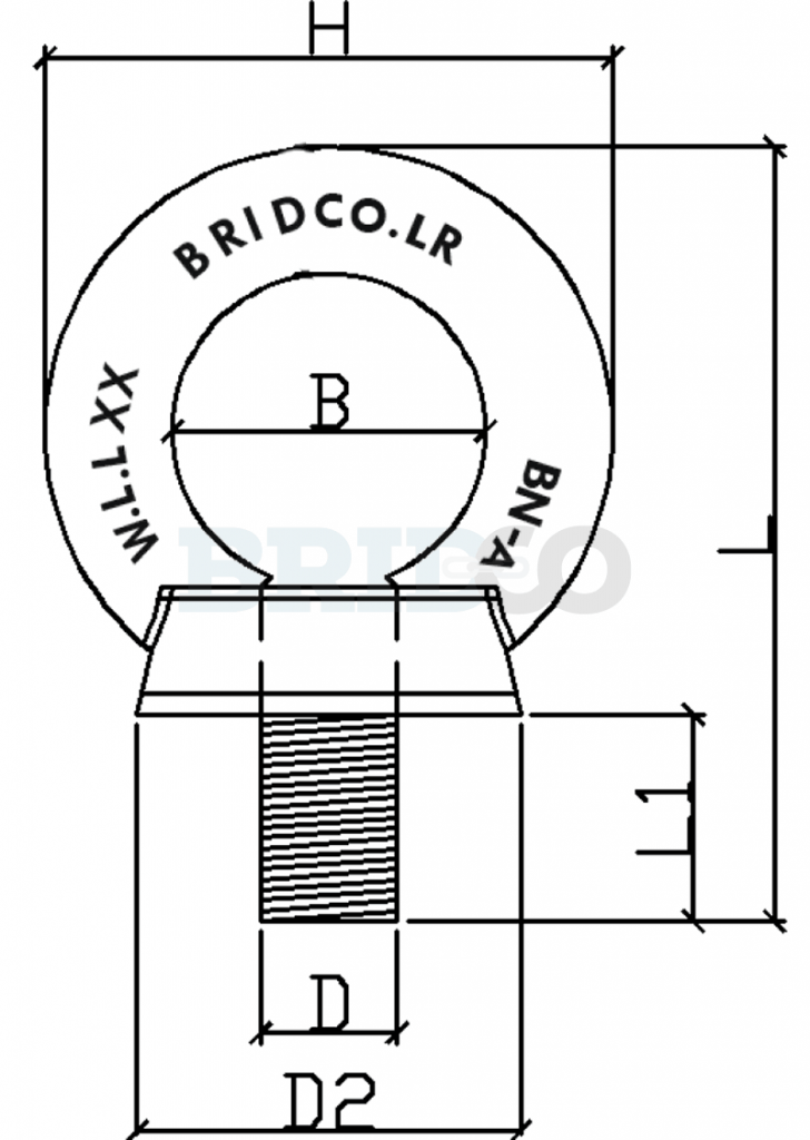 Stainless Steel Load Rated Eye Bolt Bridco